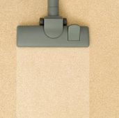 Vaccum Cleaner on Brown Carpet